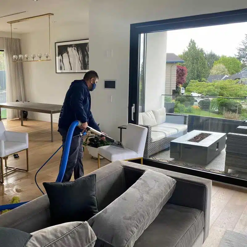 Upholstery Cleaning Surrey BC The Blind Carpet Cleaner