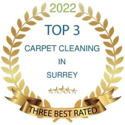 Expert Recommended The Blind Carpert Cleaner as the Top 3 Carpet Cleaning in Surrey, BC in 2022